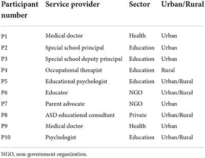 “We are doing the best we can to bridge the gap” - service provider perspectives of educational services for autism spectrum disorder in South Africa